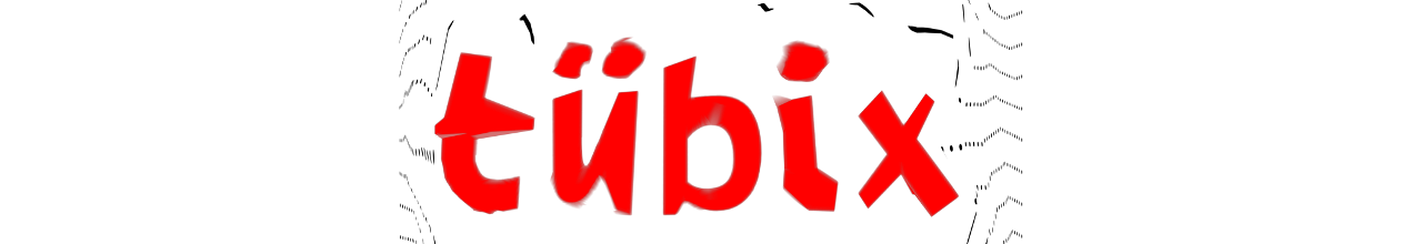 picture of a banner or logo from Tübix